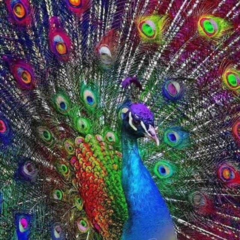 New Dream Elegant Peacock Full Drill - 5D Diamond Painting