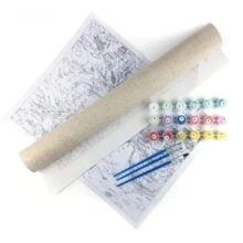 Custom Paint By Numbers Kit