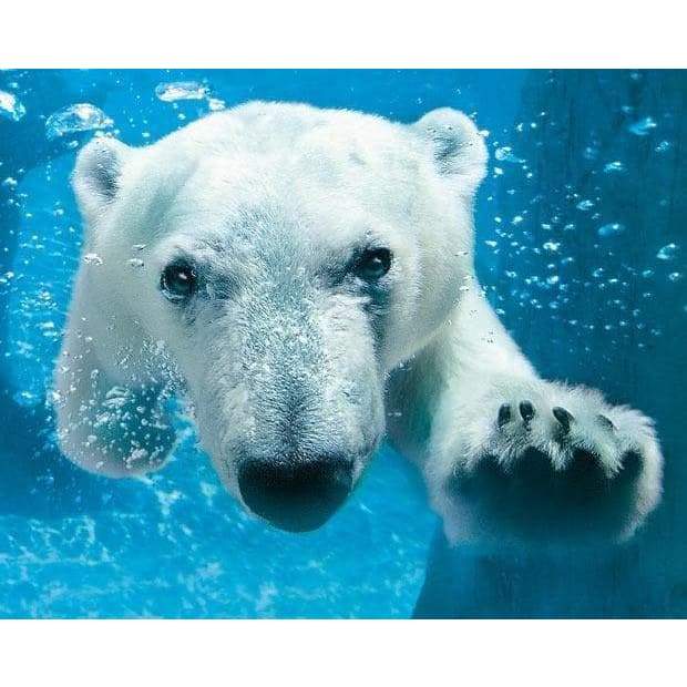 Polar Bear In Water - Full Drill Diamond Painting - Special
