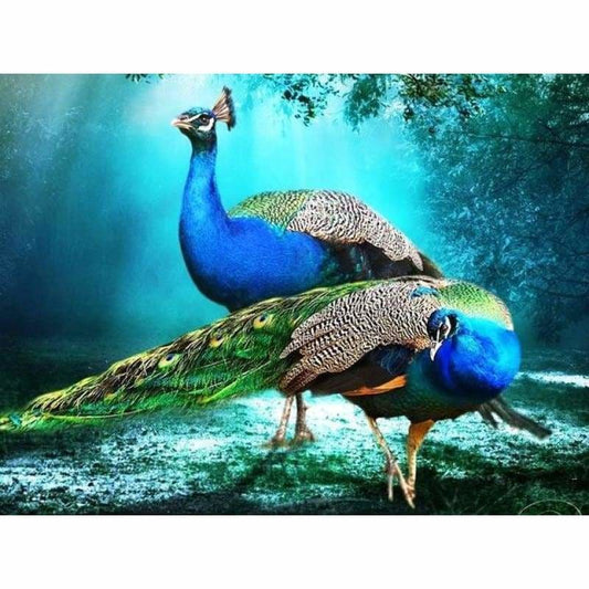 Dream Peacock Needlework Full Drill - 5D Diy Diamond