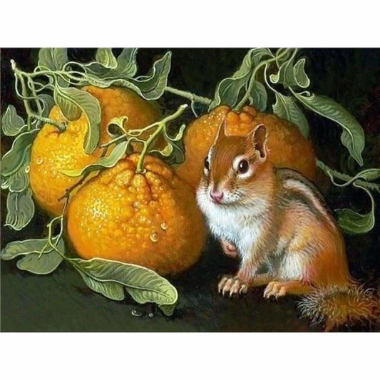 Full Drill - 5D Diamond Painting Kits Oranges and Small