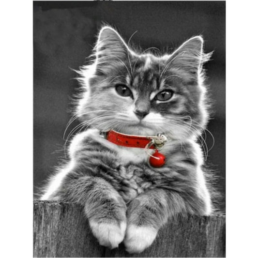 Full Drill - 5D DIY Diamond Painting Kits Animal Cute Grey