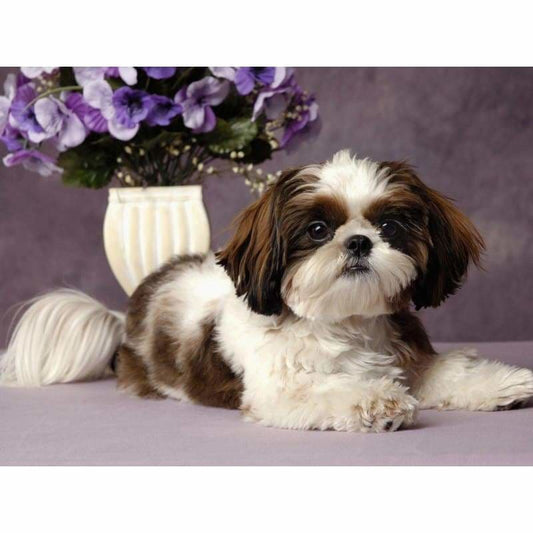 Full Drill - 5D DIY Diamond Painting Kits Animal Dog Flower