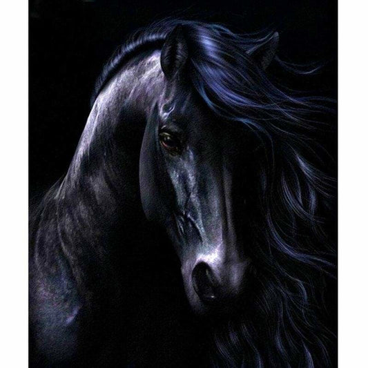 Full Drill - 5D DIY Diamond Painting Kits Artistic Black