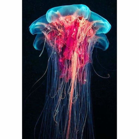 Full Drill - 5D DIY Diamond Painting Kits Beautiful