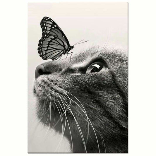 Full Drill - 5D DIY Diamond Painting Kits Black White Cat
