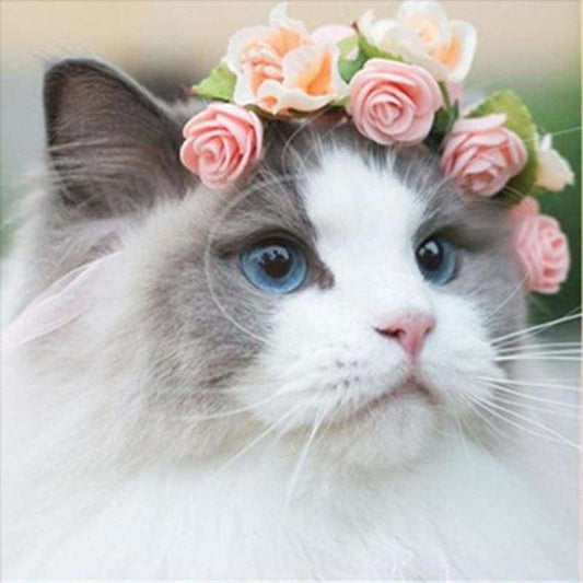 Full Drill - 5D DIY Diamond Painting Kits Cute Cat And