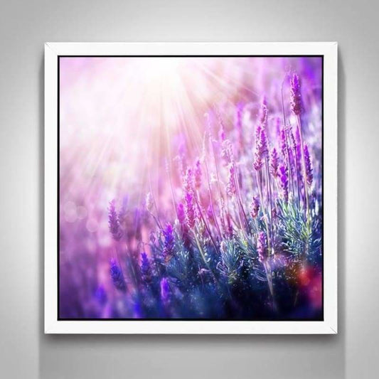 Full Drill - 5D DIY Diamond Painting Kits Purple Lavender