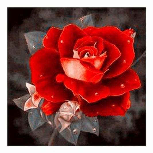 Full Drill - 5D DIY Diamond Painting Kits Special Pretty