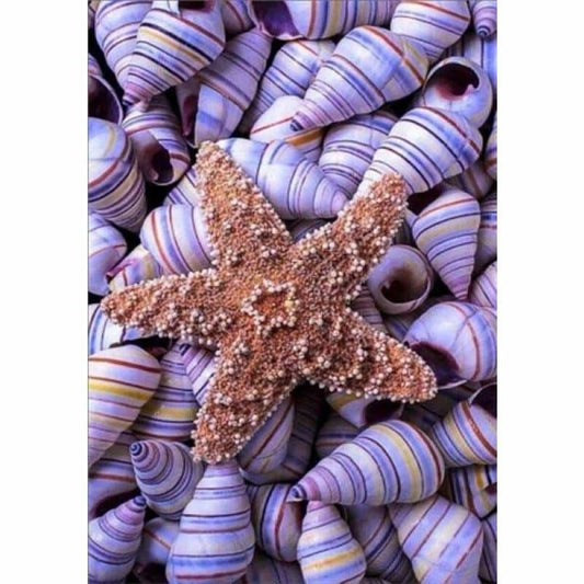 Full Drill - Full Drill - 5D DIY Diamond Painting Kits