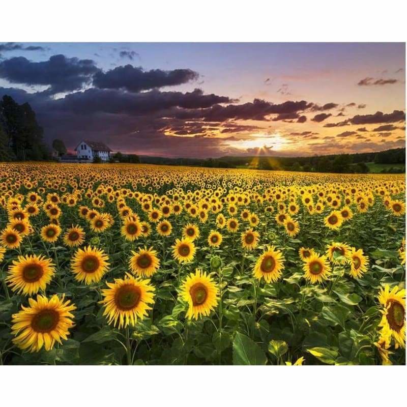 Full Drill - 5D DIY Diamond Painting Kits Sunset Plant 