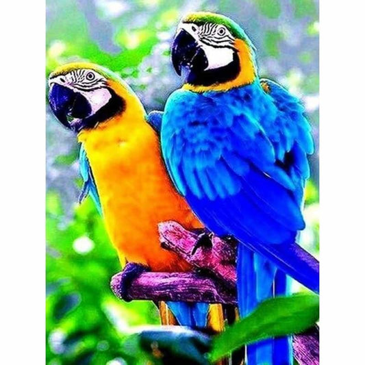 Full Square Drill Cute Parrot Full Drill - 5D Diy Diamond