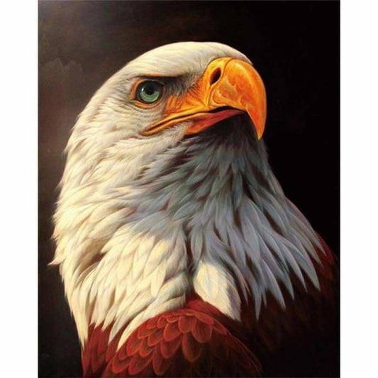 Hot Sale Animal Eagle Portrait Full Drill - 5D Diy Diamond
