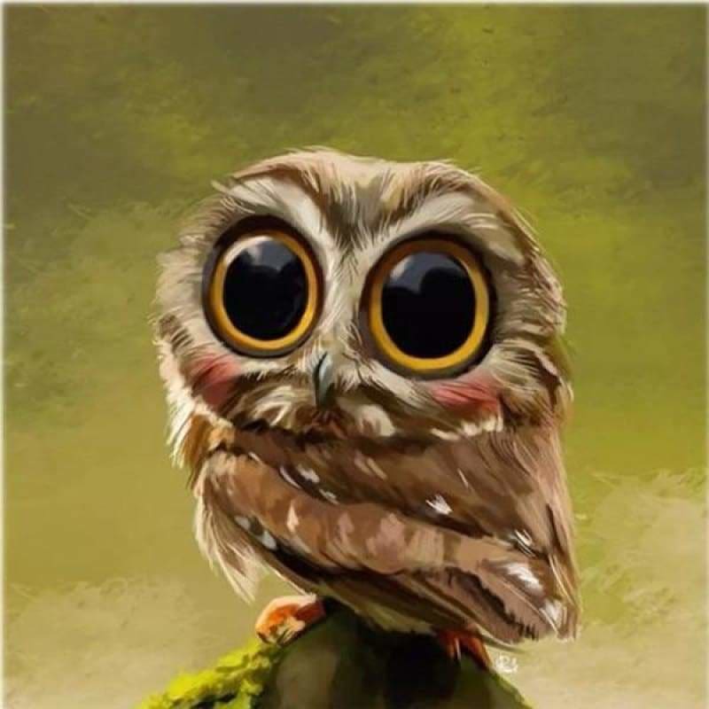 Hot Sale Diamond Owl Pattern Full Drill - 5D Diy Diamond 