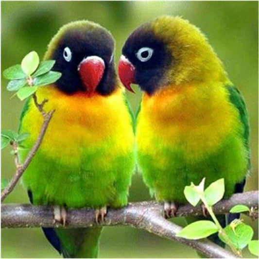 New Cute Bird Full Drill - 5D Diy Diamond Painting Kits