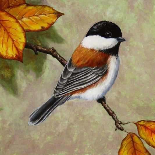 New Hot Sale Canvas Animal Bird Full Drill - 5D Diy Diamond
