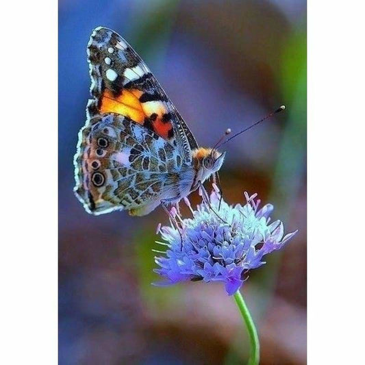 New Hot Sale Canvas Butterfly Full Drill - 5D Diy Diamond 