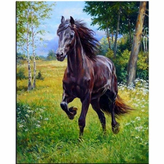 New Hot Sale Embroidery Animal Horse Full Drill - 5D Diy