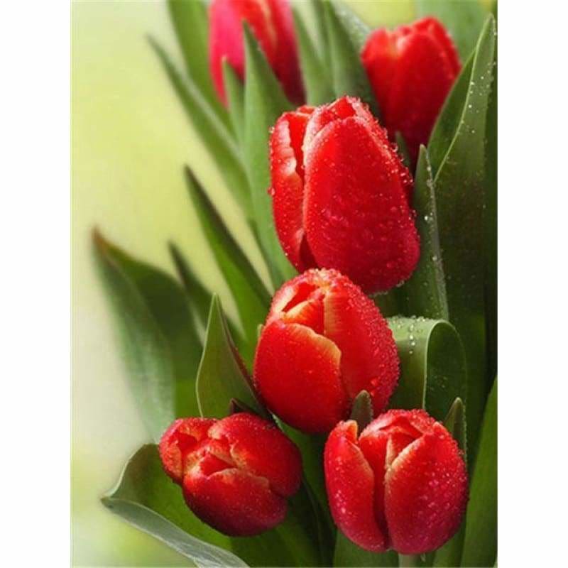 New Wall Decor Red Full Drill - 5D Diy Diamond Painting Kits