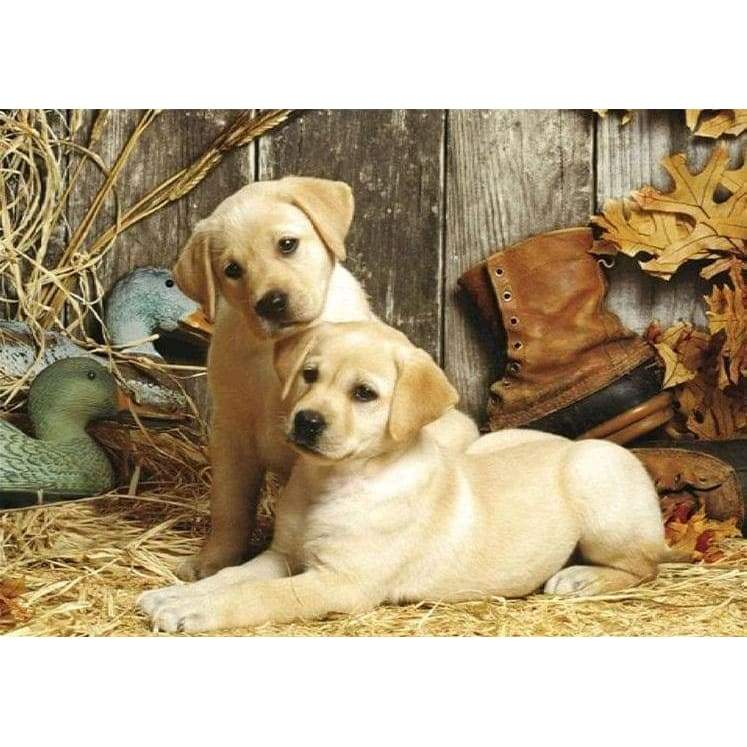 2 Labrador Puppies - Full Drill Diamond Painting - Special 