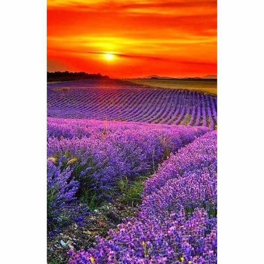 2019 Dream Lavender Fields 5D Diy Cross Stitch Diamond 