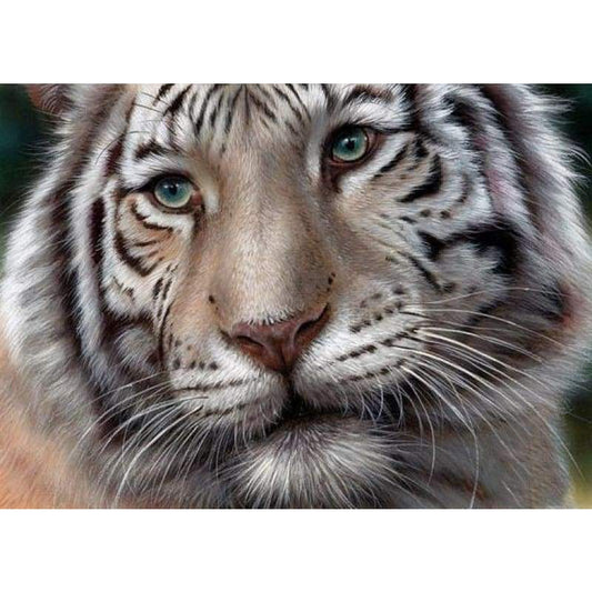 2019 Full Drill 5D DIY Diamond Painting Tiger Cross Stitch Rhinestone Mosaic