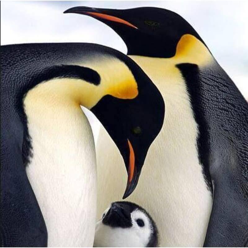 2019 Full Square Drill Penguin 5d Diy Cross Stitch Diamond Painting Kits NA00429