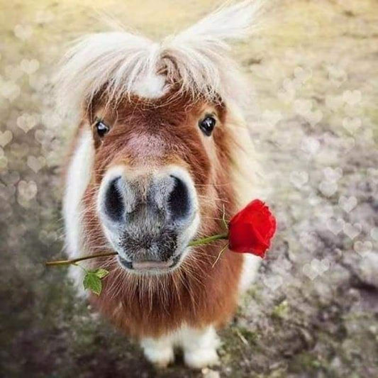 Funny Full Square Drill Horse Wall Decor Diy 5d Diamond Painting Set VM20073