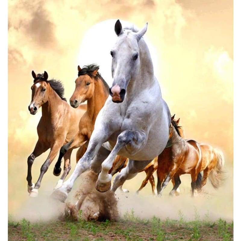 Hot Sale Animal Horse Pattern 5d Diy Diamond Painting Kits VM7025