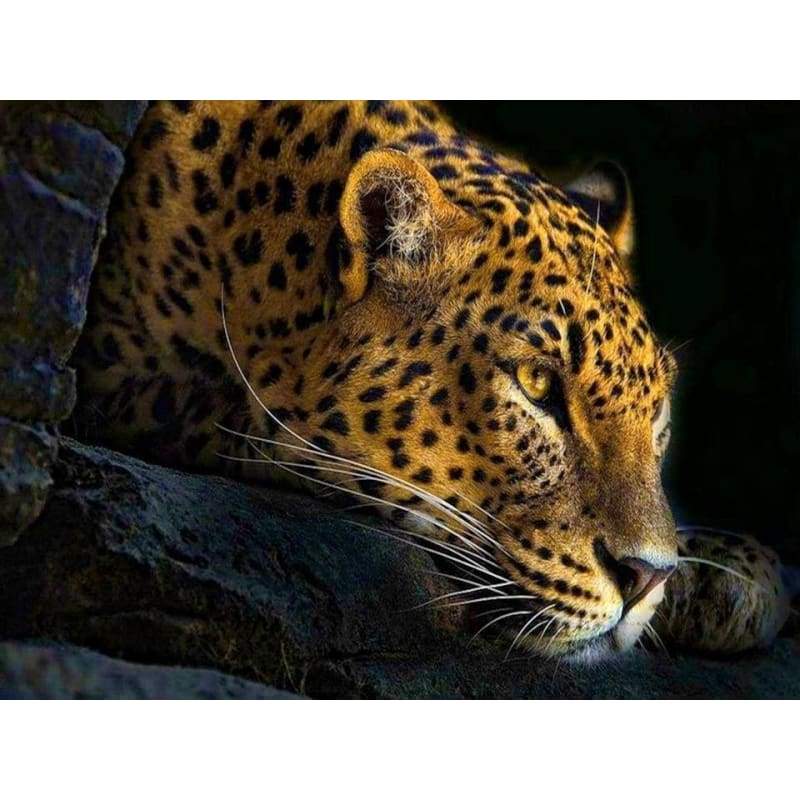 Hot Sale Animal Portrait Leopard 5d Diy Diamond Painting Kits VM8061