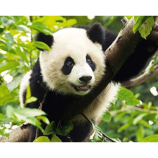 Hot Sale Cute Panda Animal Picture 5d Diy Diamond Painting Kits VM7856