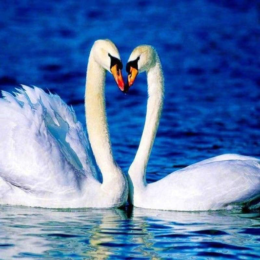 2019 Hot Sale Elegant Swan Lover In Lake 5d Diy Full Diamond Painting Swan Kits VM03006
