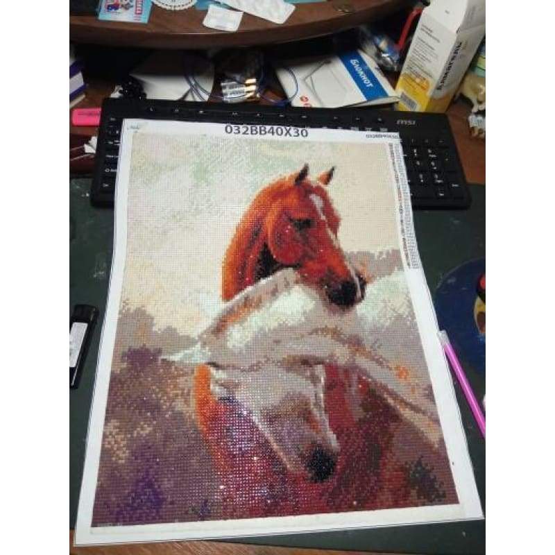 Hot Sale Fast Delivery Animal Horse Pattern 5d Diy Diamond Painting Kits VM07032