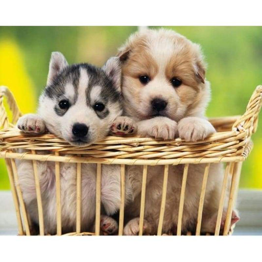 Hot Sale Pet Dog Home Decor 5d Diy Diamond Painting Kits VM9666