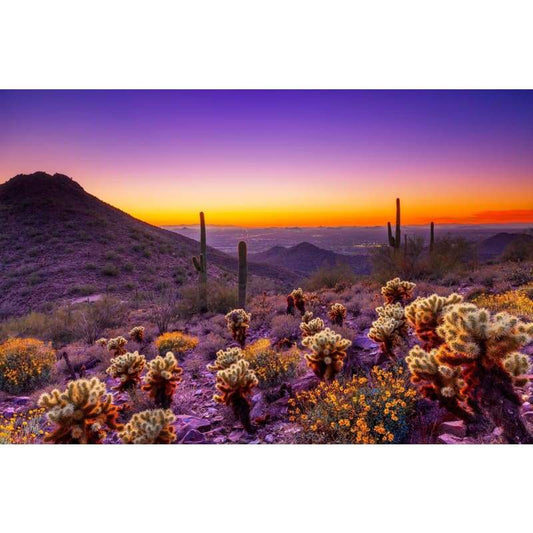 Landscape Nature 5D DIY Diamond Painting Cross Stitch Kits VM7810