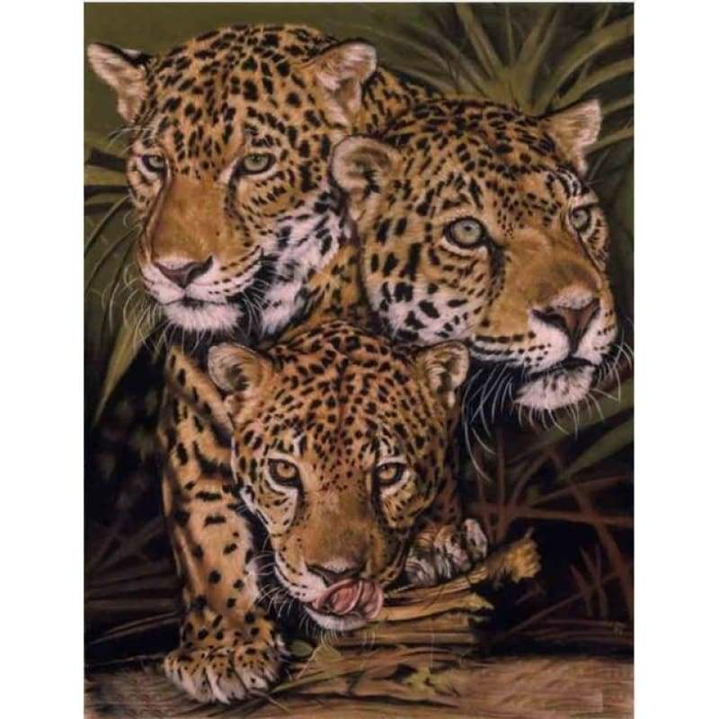 New Animal Leopard Picture Wall Decor 5d Diy Diamond Painting Kits VM29522