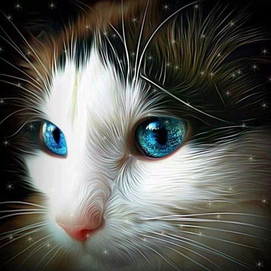 2019 New Cute Cat With Charming Blue Eyes 5d Diamond Diy Paint VM01306 - NEEDLEWORK KITS