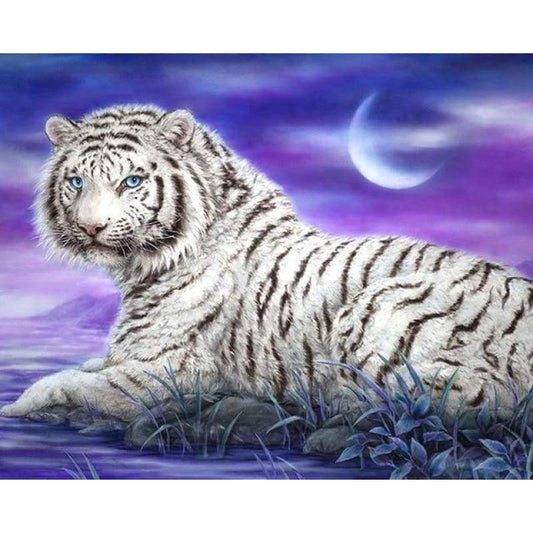 New Dream Photo Animal Tiger 5d Diy Diamond Painting Kits VM9074