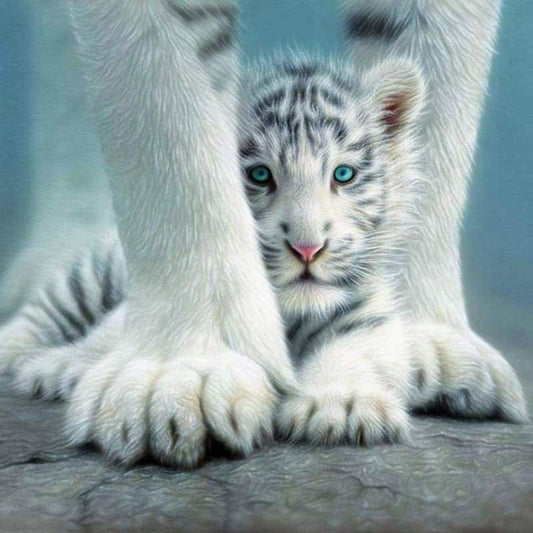 2019 New Dream Tiger 5d Diy Cross Stitch Diamond Painting Kits QB5072