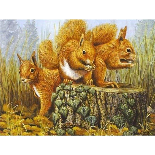2019 New Full Square Drill Squirrel 5d Diy Cross Stitch Diamond Painting Kits NA00459
