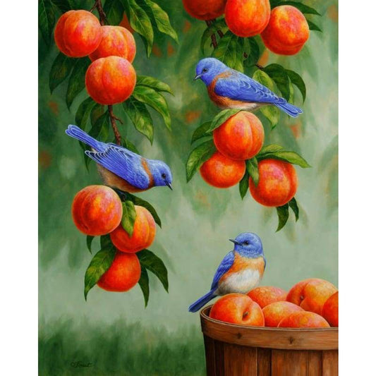New Hot Sale Animal Cute Bird 5d Diy Diamond Painting Kits VM8997