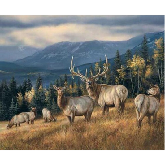 2019 New Hot Sale Cute Deer Wall Decorate 5d Diy Diamond Painting Kits VM9106