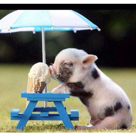 2019 New Hot Sale Cute Pig Eating Ice Cream 5d Diamond Painting Kits VM1012