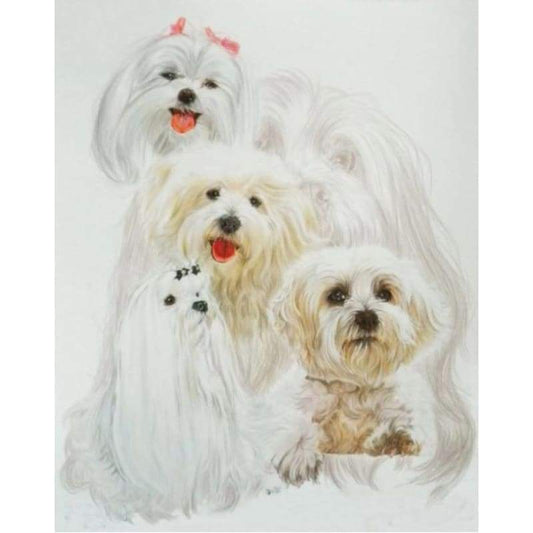 New Hot Sale Decorating Dog Picture 5d Diy Diamond Painting Kits VM09529