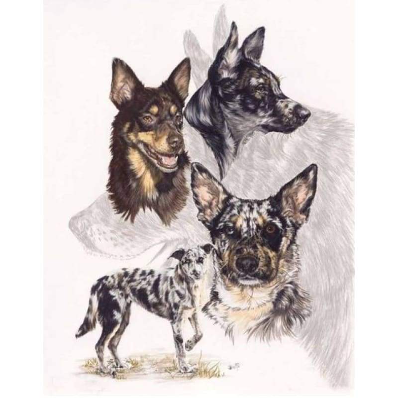 New Hot Sale Decorating Dog Picture 5d Diy Diamond Painting Kits VM09530