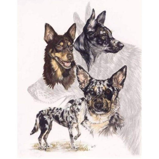 New Hot Sale Decorating Dog Picture 5d Diy Diamond Painting Kits VM09530