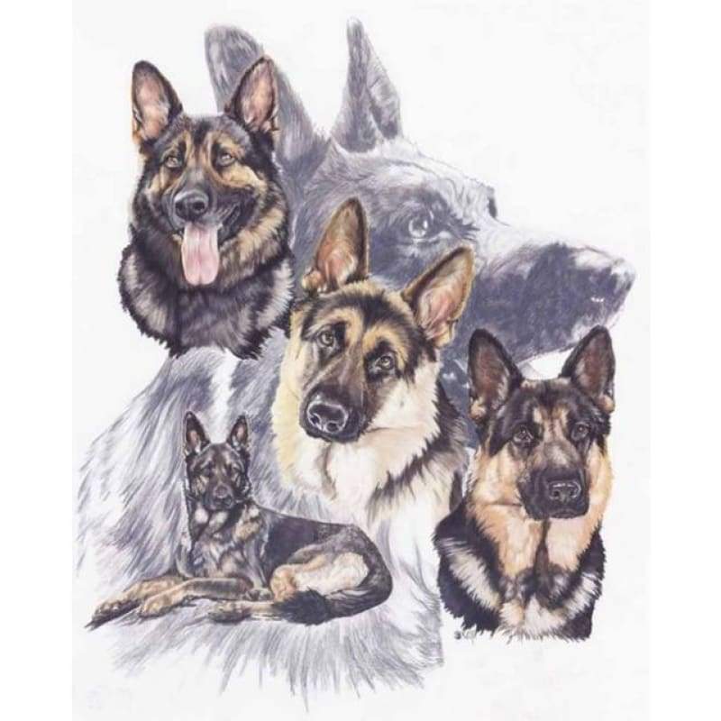 New Hot Sale Decorating Dog Picture 5d Diy Diamond Painting Kits VM09532