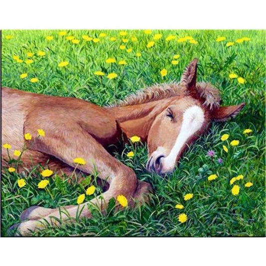 New Hot Sale Embroidery Animal Horse 5d Diy Diamond Painting Kits VM39526