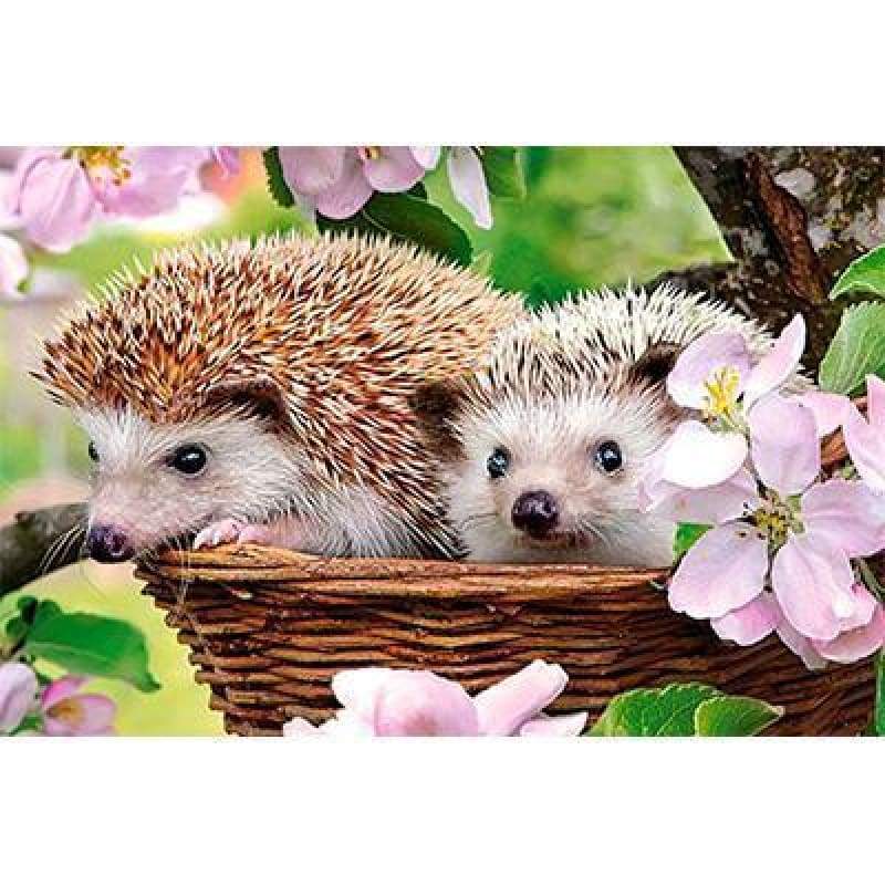 2019 New Hot Sale Hedgehog Pattern 5d Diy Diamond Painting Kits VM9071