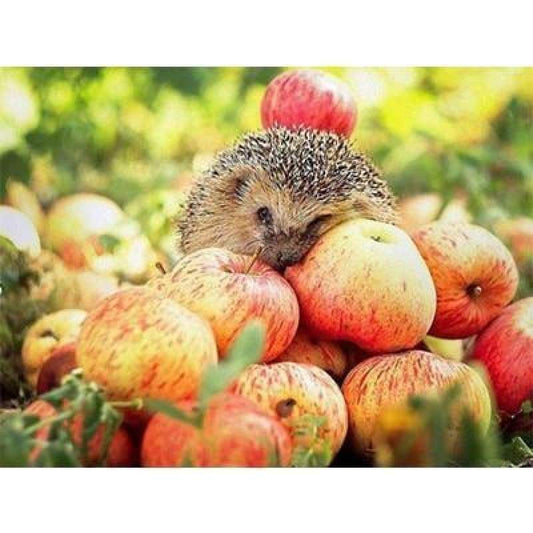 2019 New Hot Sale Photo Hedgehog Pattern 5d Diy Diamond Painting Kits VM9068